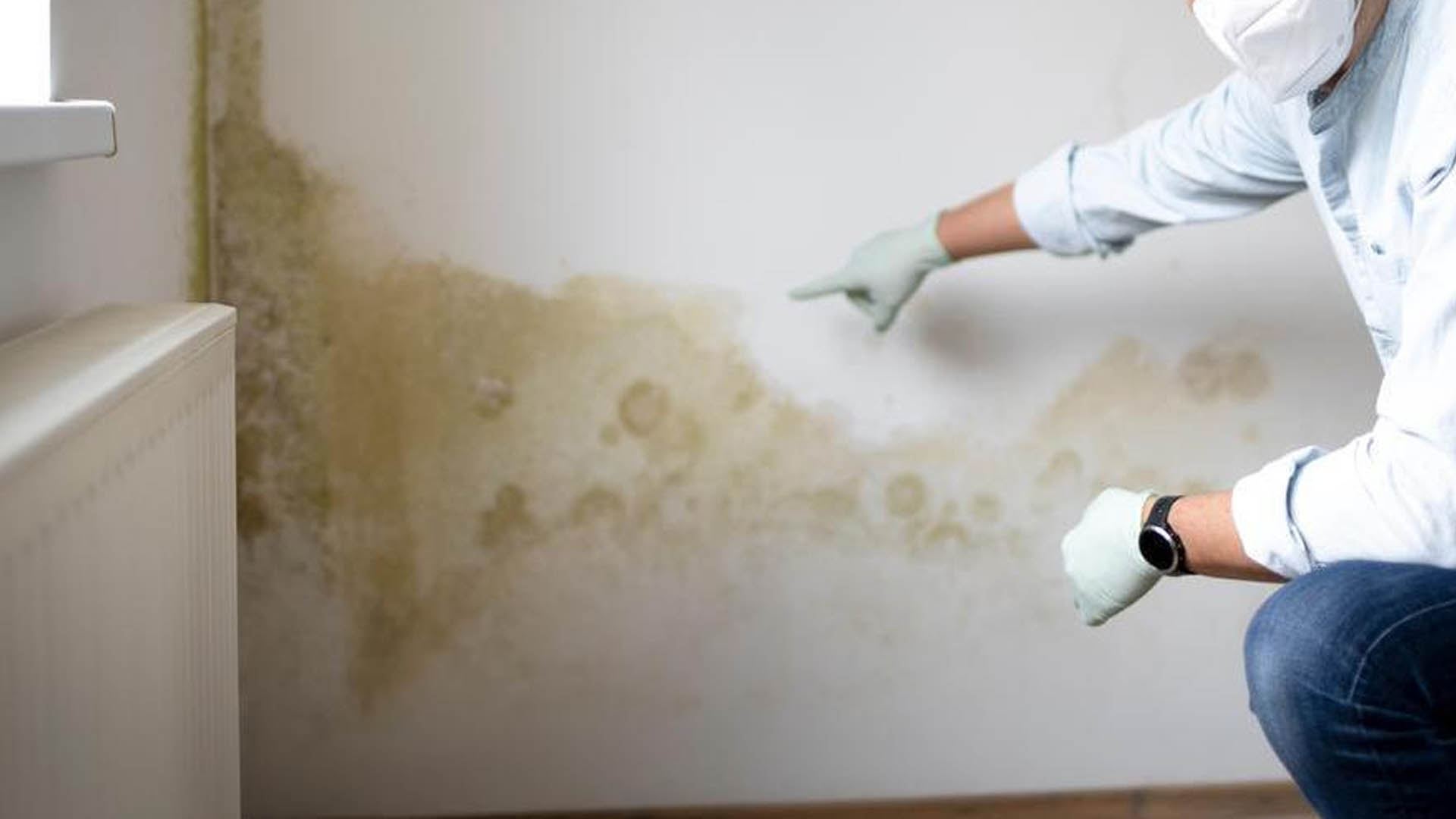 Mold Remediation