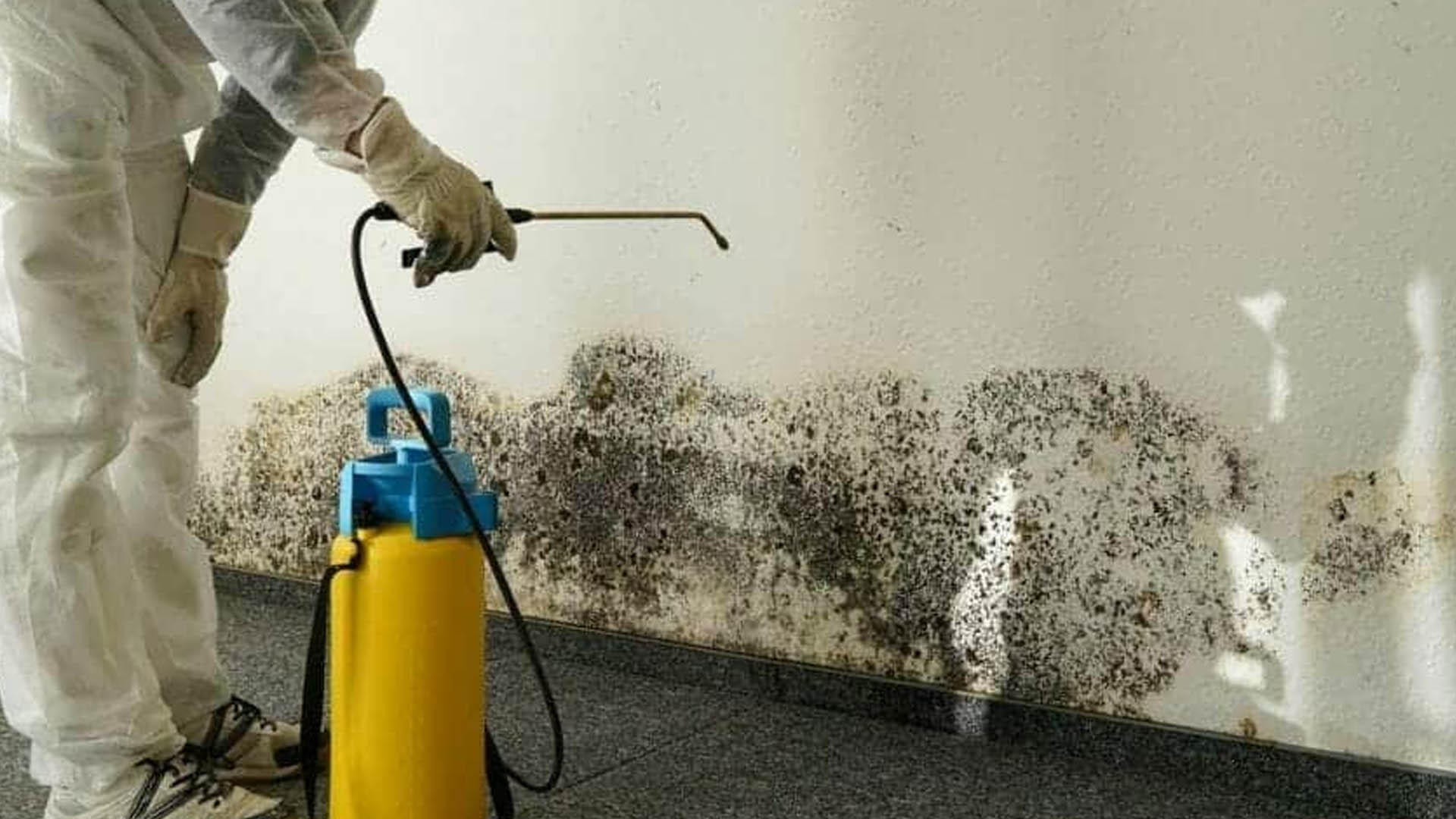 Restoration Services