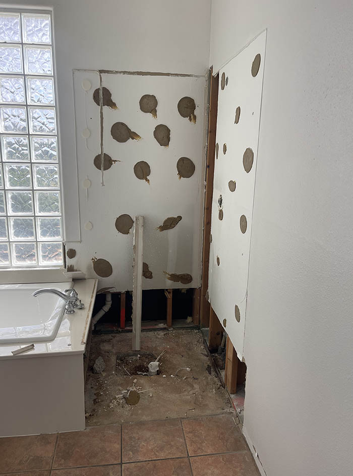Wood Stain Removal