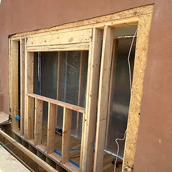 Mold Removal